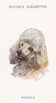1955 Player's Dogs' Head #20 Poodle Front
