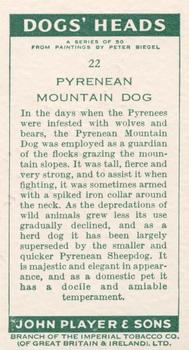 1955 Player's Dogs' Head #22 Pyrenean Mountain Dog Back