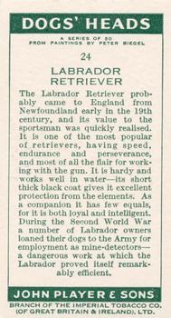 1955 Player's Dogs' Head #24 Labrador Retriever Back
