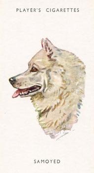 1955 Player's Dogs' Head #27 Samoyed Front