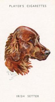 1955 Player's Dogs' Head #30 Irish Setter Front