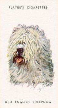 1955 Player's Dogs' Head #31 Old English Sheepdog Front