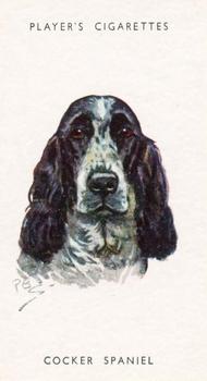 1955 Player's Dogs' Head #33 Cocker Spaniel Front