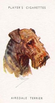 1955 Player's Dogs' Head #35 Airedale Terrier Front