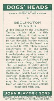 1955 Player's Dogs' Head #36 Bedlington Terrier Back