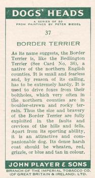 1955 Player's Dogs' Head #37 Border Terrier Back