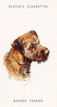 1955 Player's Dogs' Head #37 Border Terrier Front