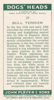 1955 Player's Dogs' Head #38 Bull Terrier Back
