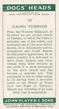 1955 Player's Dogs' Head #39 Cairn Terrier Back