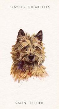 1955 Player's Dogs' Head #39 Cairn Terrier Front