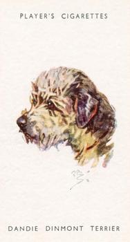 1955 Player's Dogs' Head #40 Dandie Dinmont Terrier Front