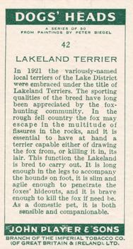 1955 Player's Dogs' Head #42 Lakeland Terrier Back