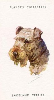1955 Player's Dogs' Head #42 Lakeland Terrier Front