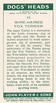 1955 Player's Dogs' Head #43 Wire-Haired Fox Terrier Back