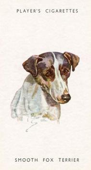 1955 Player's Dogs' Head #44 Smooth Fox Terrier Front