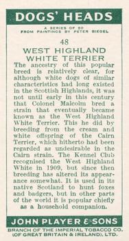 1955 Player's Dogs' Head #48 West Highland White Terrier Back