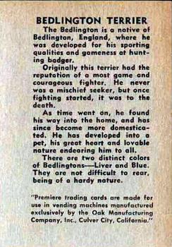1957 Oak Manufacturing Premiere Dogs #NNO Bedlington Terrier Back
