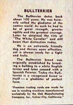 1957 Oak Manufacturing Premiere Dogs #NNO Bullterrier Back