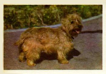 1957 Oak Manufacturing Premiere Dogs #NNO Cairn Terrier Front