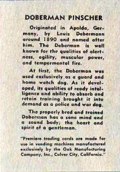 1957 Oak Manufacturing Premiere Dogs #NNO Doberman Pinscher Back