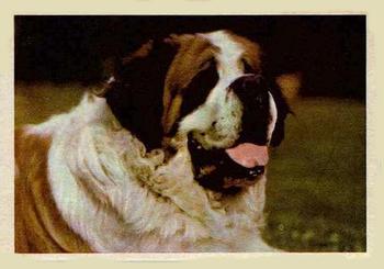 1957 Oak Manufacturing Premiere Dogs #NNO St. Bernard Front