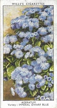 1939 Wills's Garden Flowers #1 Ageratum Front