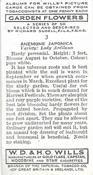 1939 Wills's Garden Flowers #3 Anemone Japonica Back