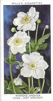 1939 Wills's Garden Flowers #3 Anemone Japonica Front