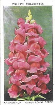 1939 Wills's Garden Flowers #4 Antirrhinum Front