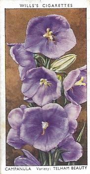 1939 Wills's Garden Flowers #8 Campanula Front