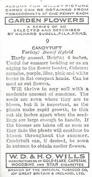 1939 Wills's Garden Flowers #9 Candytuft Back