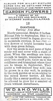 1939 Wills's Garden Flowers #18 Dianthus Back