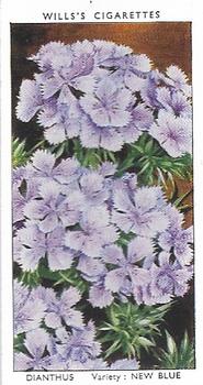 1939 Wills's Garden Flowers #18 Dianthus Front