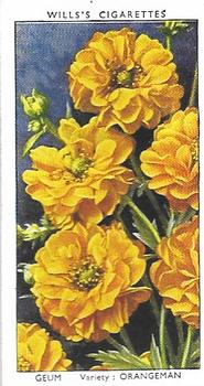 1939 Wills's Garden Flowers #22 Geum Front