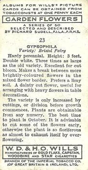 1939 Wills's Garden Flowers #23 Gypsophila Back