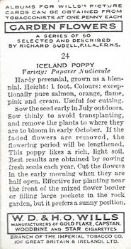 1939 Wills's Garden Flowers #24 Iceland Poppy Back