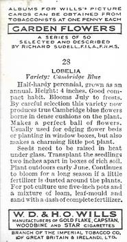 1939 Wills's Garden Flowers #28 Lobelia Back