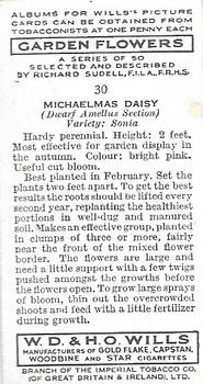 1939 Wills's Garden Flowers #30 Michaelmas Daisy Back