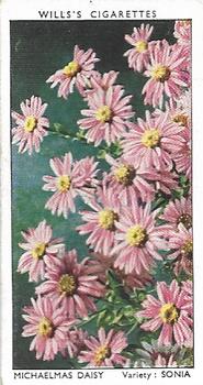 1939 Wills's Garden Flowers #30 Michaelmas Daisy Front