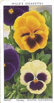 1939 Wills's Garden Flowers #36 Pansy Front