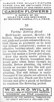 1939 Wills's Garden Flowers #38 Petunia Back