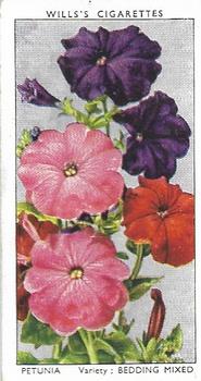 1939 Wills's Garden Flowers #38 Petunia Front