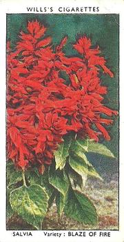 1939 Wills's Garden Flowers #41 Salvia Front