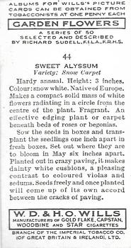 1939 Wills's Garden Flowers #44 Sweet Alyssum Back