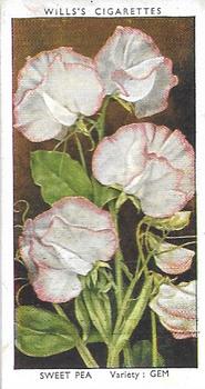 1939 Wills's Garden Flowers #45 Sweet Pea Front