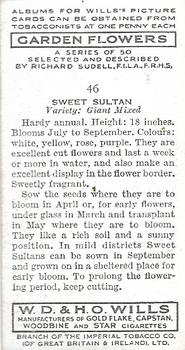 1939 Wills's Garden Flowers #46 Sweet Sultan Back