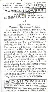 1939 Wills's Garden Flowers #47 Verbena Back