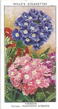 1939 Wills's Garden Flowers #47 Verbena Front