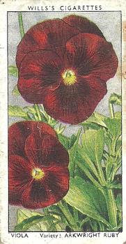 1939 Wills's Garden Flowers #48 Viola Front