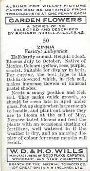 1939 Wills's Garden Flowers #50 Zinnia Back